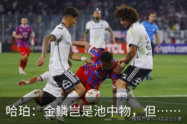 哈珀：金鳞岂是池中物，但……